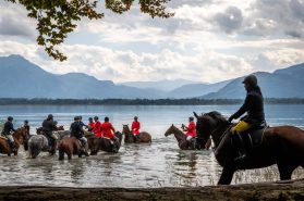 Schleppjagd-Herrenchiemsee-2022-1340745