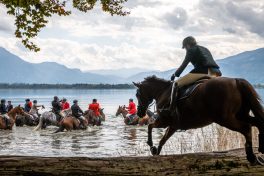 Schleppjagd-Herrenchiemsee-2022-1340747