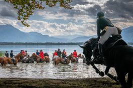 Schleppjagd-Herrenchiemsee-2022-1340752