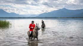 Schleppjagd-Herrenchiemsee-2022-1340856