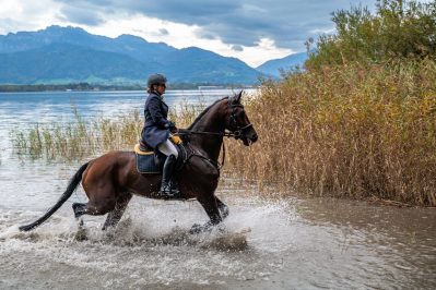 Schleppjagd-Herrenchiemsee-2022-1340862