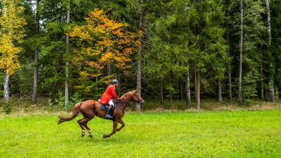 Schleppjagd-Herrenchiemsee-2022-1340877