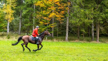 Schleppjagd-Herrenchiemsee-2022-1340886