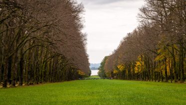 Schleppjagd-Herrenchiemsee-2022-1340900