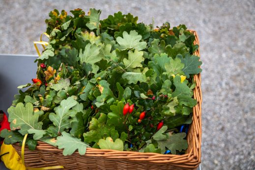 Schleppjagd-Herrenchiemsee-2022-1340937