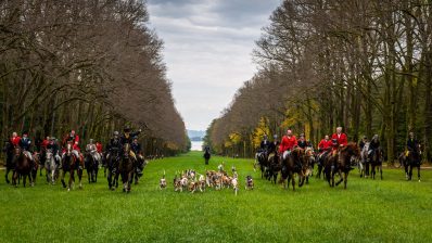 Schleppjagd-Herrenchiemsee-2022-1340977