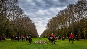 Schleppjagd-Herrenchiemsee-2022-1340981