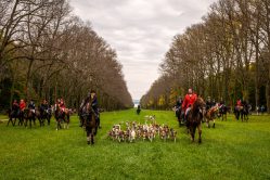 Schleppjagd-Herrenchiemsee-2022-1340982