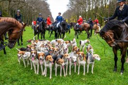 Schleppjagd-Herrenchiemsee-2022-1350038