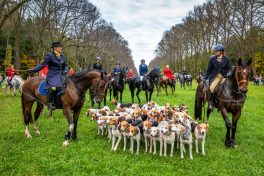 Schleppjagd-Herrenchiemsee-2022-1350065