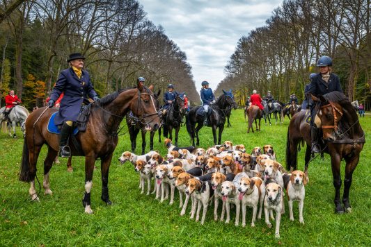 Schleppjagd-Herrenchiemsee-2022-1350066