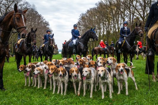 Schleppjagd-Herrenchiemsee-2022-1350070