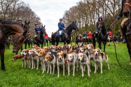 Schleppjagd-Herrenchiemsee-2022-1350073