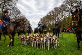 Schleppjagd-Herrenchiemsee-2022-1350079