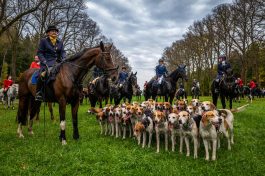 Schleppjagd-Herrenchiemsee-2022-1350083