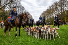 Schleppjagd-Herrenchiemsee-2022-1350088