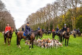 Schleppjagd-Herrenchiemsee-2022-1350149