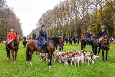 Schleppjagd-Herrenchiemsee-2022-1350153