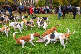 Schleppjagd-Herrenchiemsee-2022-1350189