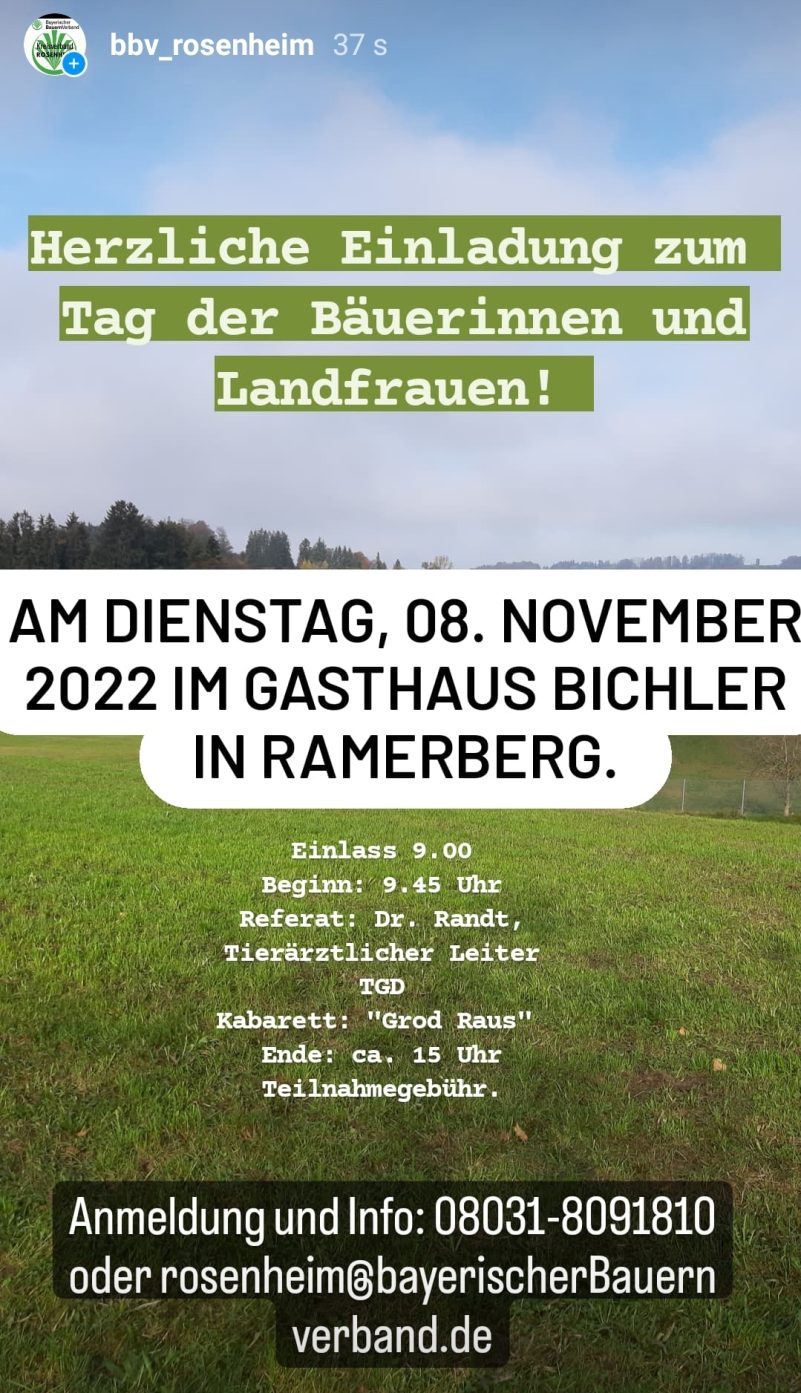 Screenshot_20221020-195317_Instagram