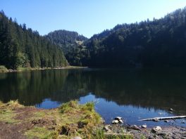 Almenrunde unter der Rauhen Nadel