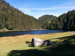 Almenrunde unter der Rauhen Nadel