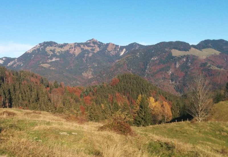 Almenrunde unter der Rauhen Nadel