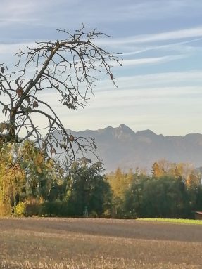 a07908de-3dfb-4a23-9054-df9176be5b03