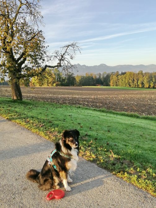 a6f012bd-5076-410d-90ce-ec5b58f51503