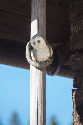 Almenrunde unter der Rauhen Nadel