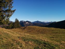Almenrunde unter der Rauhen Nadel