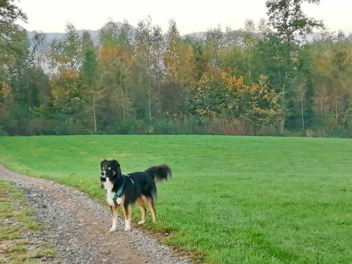 b38e673d-769b-4d83-8627-d0b344501ea6