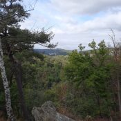 bbc4d6d4-623c-491e-b7af-77f904cb9841