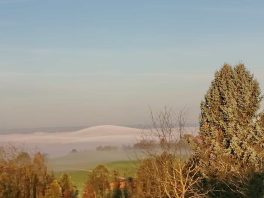 c97b8c3b-6a20-4bd1-8d1e-50a854299543