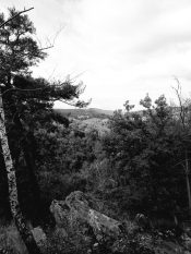 cecb0242-1555-4796-b983-2554340ee33b