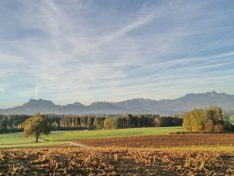 f81bb041-199b-4772-a7e0-4aa1dfc01f3f