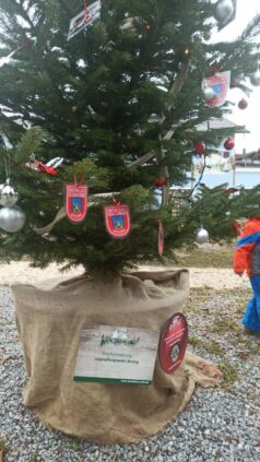 063785cf-5eb5-4f92-9b2c-627c2d94f034