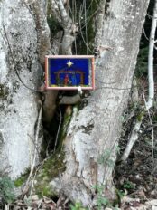 129d2adc-4b96-4cdc-8087-2616b4321d67