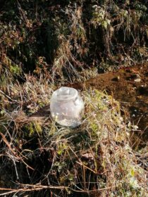 15cd3a2d-dfa2-42fd-b2d9-c955c58b06c1