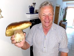 1Stein- und Glückspilz-Gawlik