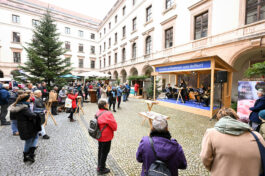 Hoffest im Advent