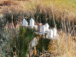 226c6884-e69e-421f-8a26-0185e91343d6