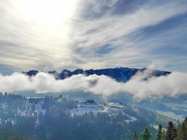 2addd977-d3d0-4ad2-9530-0c7da48e1efc