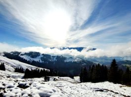 2f9438f8-bc90-4216-8931-04fd4d45b28b