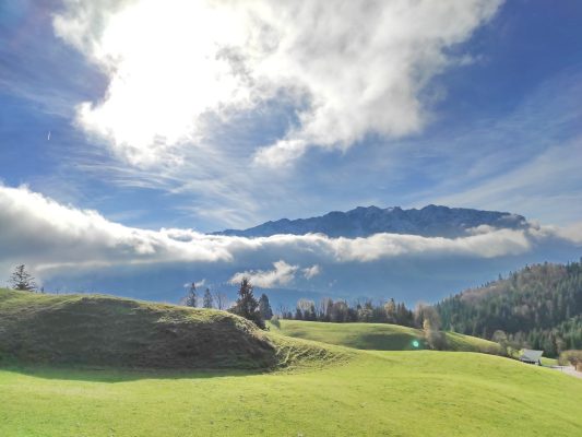 31f1c261-235d-4154-8560-8bfe07c9b041