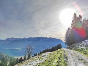 35b193cd-9316-4fe3-aaec-cf3227a14cd5