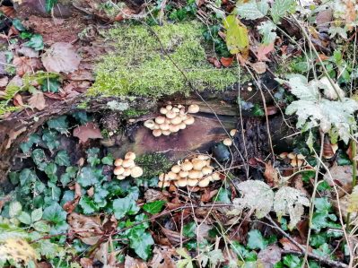 35f2133b-0993-42c3-9397-8766e42bda87