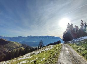 36fbd0e9-969c-4987-a3ac-192b83997d04