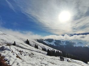 37d14f56-8770-48c1-a068-5c4f5ef67cc1