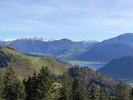 3a2fe3bc-21fb-4421-8719-078fc350a693